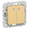 Переключатель двухклавишный с индикацией ИЭК FLITE ВС62-1-1-ФлЗ 10А золотарник