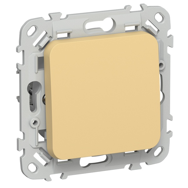 Выключатель кнопочный одноклавишный проходной ИЭК FLITE ВС61-2-0-ФлЗ 10А золотарник