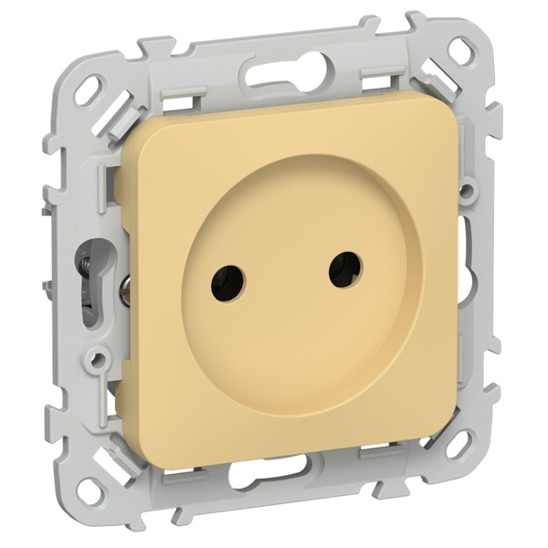 Розетка без заземления ИЭК FLITE РСш01-1-ФлЗ 10А шторки автозажим золотарник