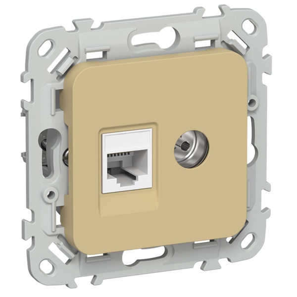 Розетка двойная TV+RJ45 кат.5E UTP ИЭК FLITE РКТВ5е-2-0-ФлШм шамуа