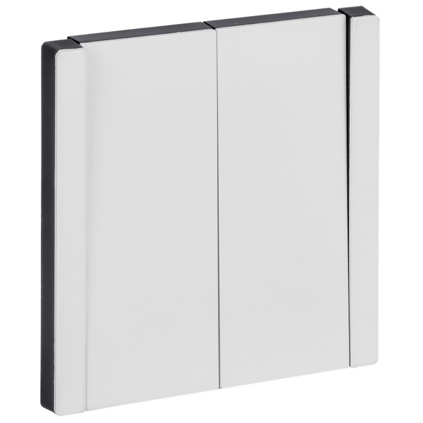 Выключатель двухклавишный ИЭК FORTE&PIANO FP205M 10А металл белый