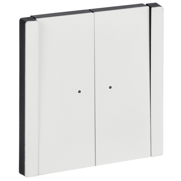 Выключатель двухклавишный с индикацией ИЭК FORTE&PIANO FP206M 10А металл белый