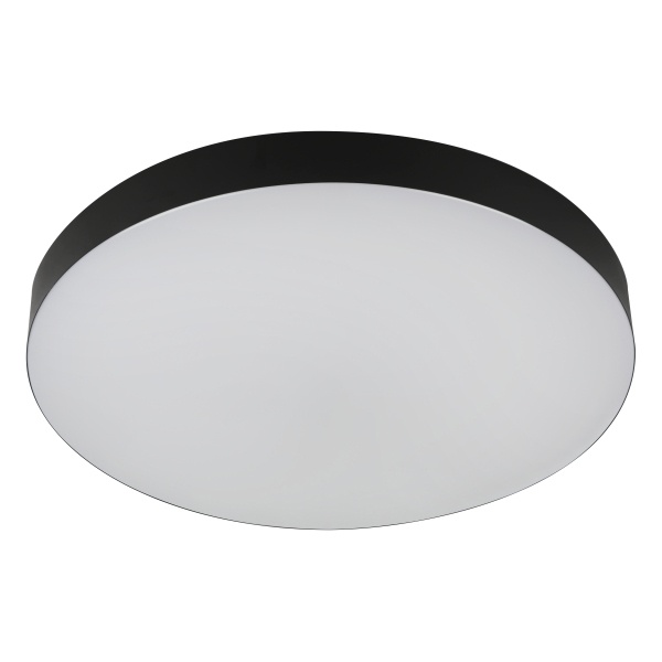 Светильник потолочный светодиодный ЭРА SPB-6 Relict 48 60W 3000-6500K RC опал черный с ДУ