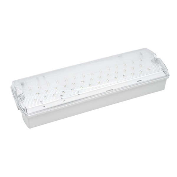 Светильник светодиодный аварийный ДСО-101-IP65-Н 3W 3 часа без пиктограммы