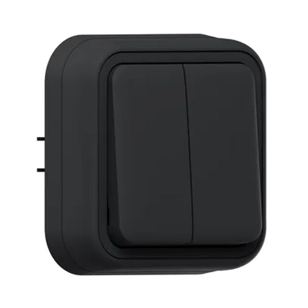 Выключатель двухклавишный встраиваемый EKF Бронто 10А автозажим IP55 антрацит