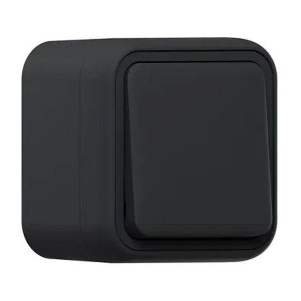 Переключатель одноклавишный накладной EKF Бронто 10А автозажим IP55 антрацит