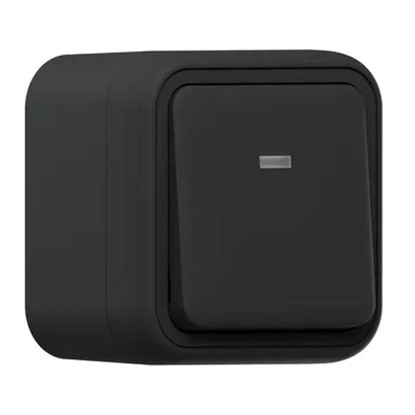 Переключатель одноклавишный с подсветкой накладной EKF Бронто 10А автозажим IP55 антраци