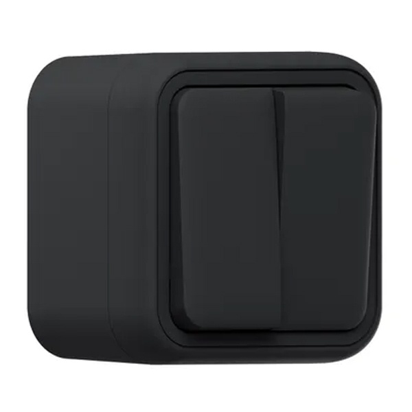 Переключатель двухклавишный накладной EKF Бронто 10А автозажим IP55 антрацит