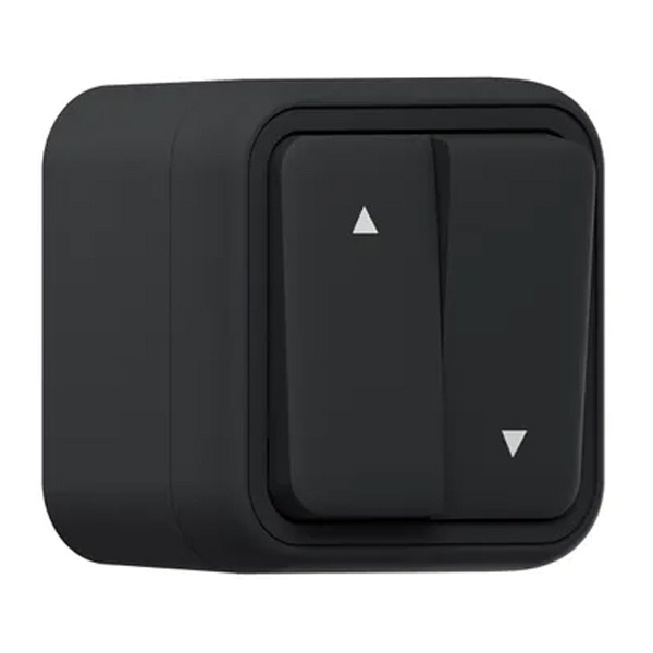 Выключатель 2-кл для жалюзи с фиксацией накладной EKF Бронто 10А винтовые клеммы IP55 антрацит