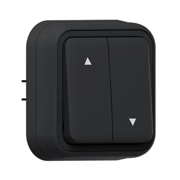 Выключатель 2-кл для жалюзи с фиксацией встраиваемый EKF Бронто 10А винтовые клеммы IP55 антрацит