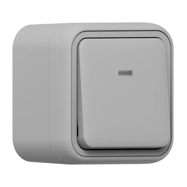 Переключатель одноклавишный с подсветкой накладной EKF Бронто 10А автозажим IP55 серый