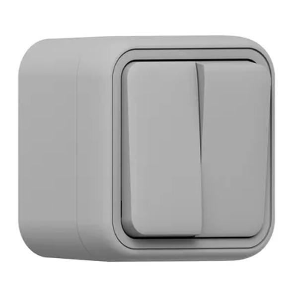 Переключатель двухклавишный накладной EKF Бронто 10А автозажим IP55 серый