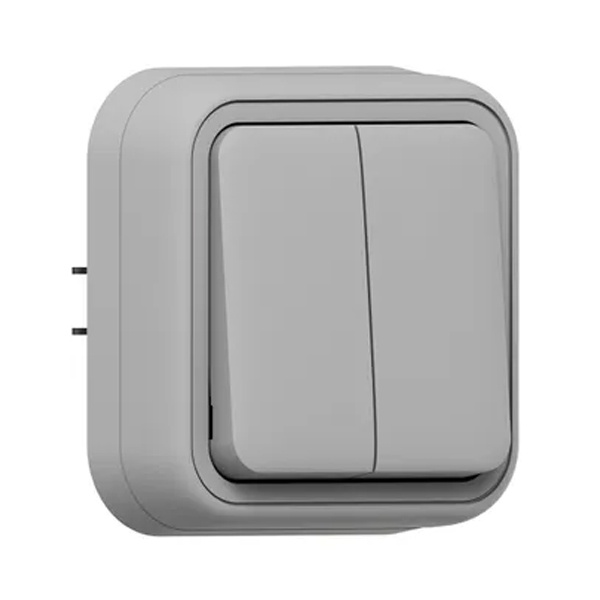 Переключатель двухклавишный встраиваемый EKF Бронто 10А автозажим IP55 серый