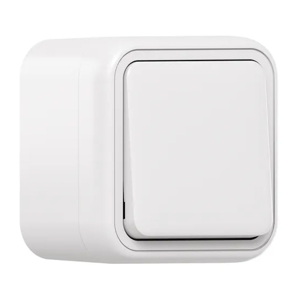 Выключатель одноклавишный накладной EKF Бронто 10А автозажим IP55 белый