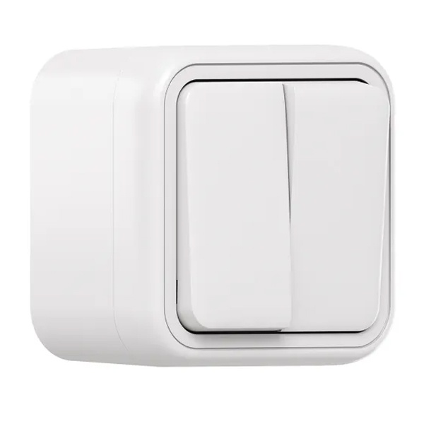 Выключатель двухклавишный накладной EKF Бронто 10А автозажим IP55 белый