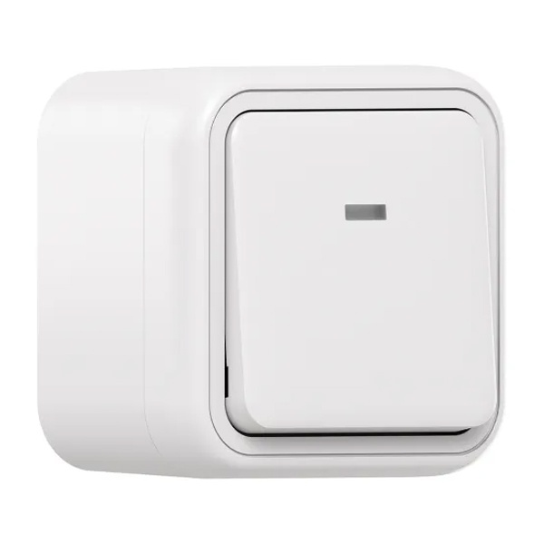 Переключатель одноклавишный с подсветкой накладной EKF Бронто 10А автозажим IP55 белый