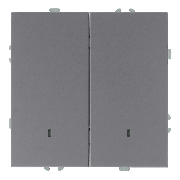 Двухклавишный выключатель с индикатором Stekker Эмили RSW10-5102-10 10A, платиново-серый