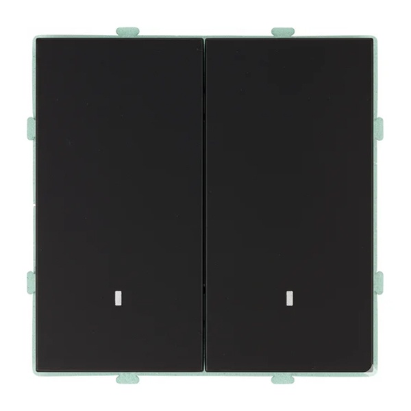 Двухклавишный выключатель с индикатором Stekker Эмили RSW10-5102-05 10A, черный уголь