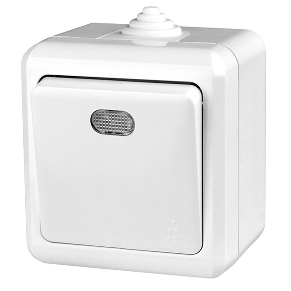 Выключатель одноклавишный открытой установки Tokov Electric Dita с индикацией 10А IP54 белый