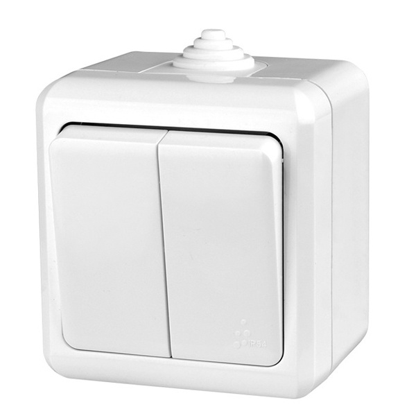 Выключатель двухклавишный открытой установки Tokov Electric Dita 10А IP54 белый