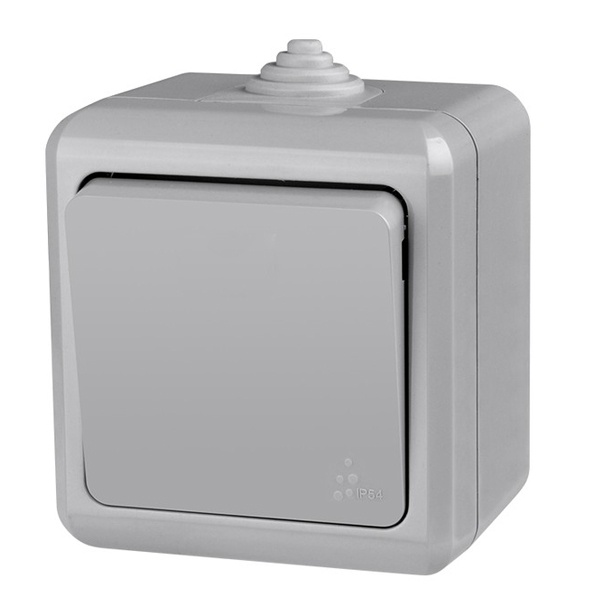 Выключатель одноклавишный открытой установки Tokov Electric Dita 10А IP54 серый