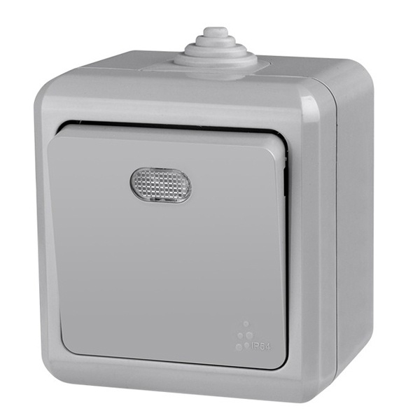 Выключатель одноклавишный открытой установки Tokov Electric Dita с индикацией 10А IP54 серый
