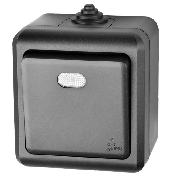 Выключатель одноклавишный открытой установки Tokov Electric Dita с индикацией 10А IP54 карбон