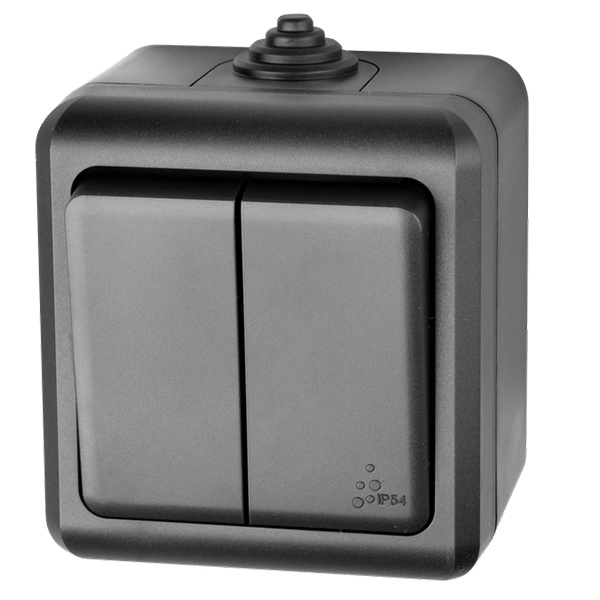 Выключатель двухклавишный открытой установки Tokov Electric Dita 10А IP54 карбон