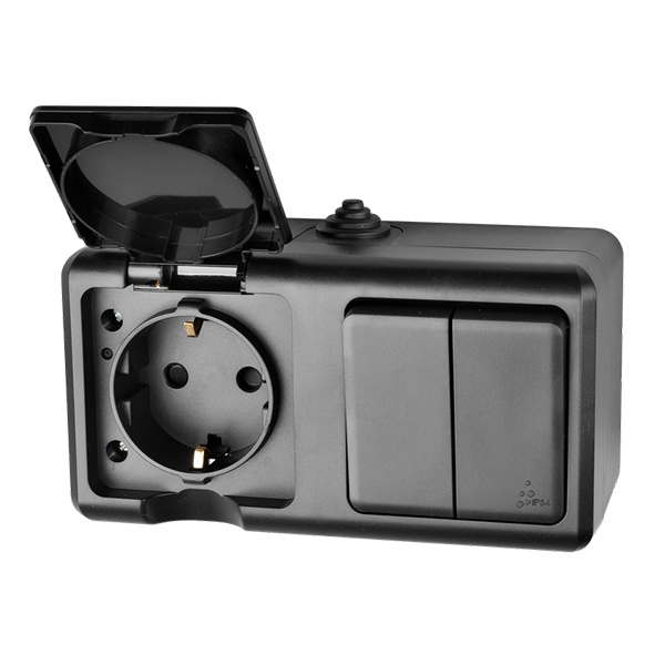 Блок открытой установки Tokov Electric Dita розетка 2П+3 с двухклавишным выключателем IP54 карбон