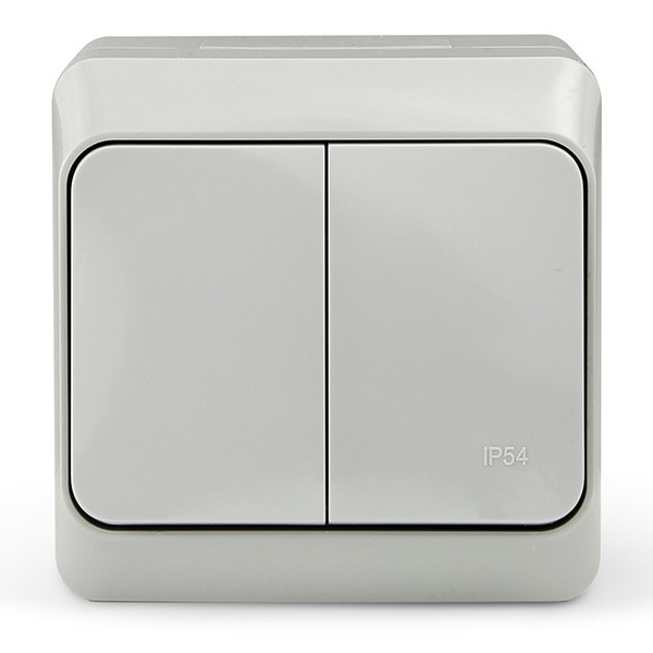 Выключатель двухклавишный открытой установки Tokov Electric Nix 10А IP54 серый