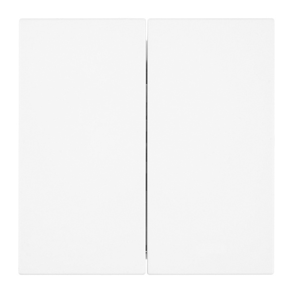 Двухклавишный переключатель Stekker Мия RSW10-3107-01 10A, белая магнолия