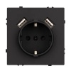 Розетка с USB зарядкой Arlight Nobe 16A 2хUSB тип A 2,1А, черный оникс