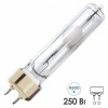 Лампа металлогалогенная Philips CDM-T 250W/942 4200K G12 (МГЛ)