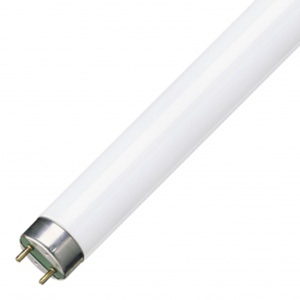 Люминесцентная линейная лампа T8 TL-D 18W/54-765 6500K G13 590mm Philips