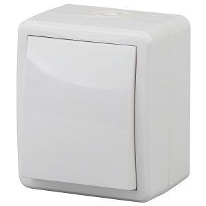 Выключатель ЭРА Эксперт 10АХ-250В открытой установки IP54 белый 11-1401-01
