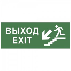 Самоклеящаяся этикетка ЭРА INFO-DBA-013 Выход/лестница вниз/фигура 200х60мм DPA/DBA