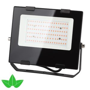 ФИТО светильник ЭРА FITO-50W-RB-LED прожектор красно-синего спектра 5056306087578