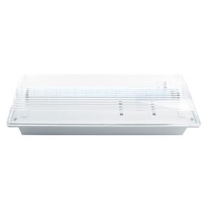 Светильник светодиодный аварийный Feron 20 LED AC/DC, белый, EM100