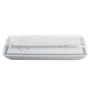 Светильник светодиодный аварийный Feron 20 LED AC/DC, белый, EM101