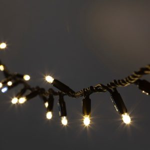 Светодиодная гирлянда ЭРА ERAPS-NK3 нить 3м теплый свет 100LED черный каучук 220В IP65