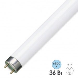 Люминесцентная линейная лампа T8 Osram L 36W/865 6500K LUMILUX RUS G13 1200mm СМ
