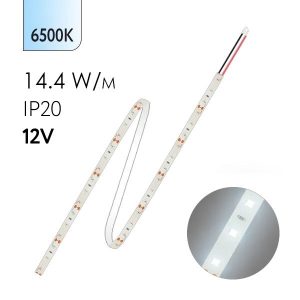 Светодиодная лента JazzWay PLS 5050/60 14,4W/m 12V White (6500K) IP20 (Упаковка 5м)