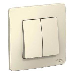 Выключатель 2-клавишный SE Blanca с/у 10A 250В молочный