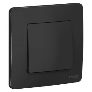 Переключатель 1-клавишный SE Blanca с/у 10A 250В антрацит
