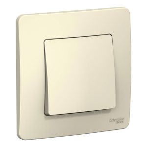 Выключатель 1-клавишный SE Blanca с/у 6А 250В молочный