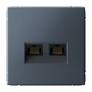 Розетка двойная компьютерная RJ45+RJ45 SE ArtGallery категория 6А грифель