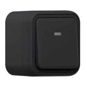Переключатель одноклавишный с подсветкой накладной EKF Бронто 10А автозажим IP55 антраци
