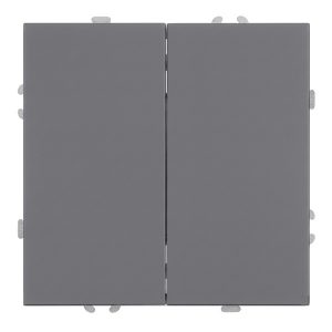 Двухклавишный выключатель Stekker Эмили RSW10-5104-10 10A, платиново-серый