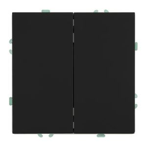 Двухклавишный выключатель Stekker Эмили RSW10-5104-05ZK 10A безвинтовые, черный уголь