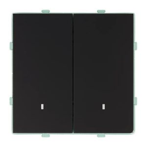 Двухклавишный выключатель с индикатором Stekker Эмили RSW10-5102-05 10A, черный уголь
